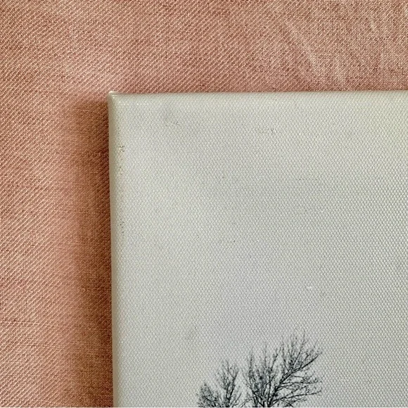 Snowy donkey canvas print - Picture 2 of 2